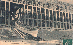 port41.gif
 (167.6k)
