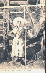 portrait1.gif
 (179.9k)